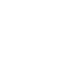 Logo Brasil Júnior